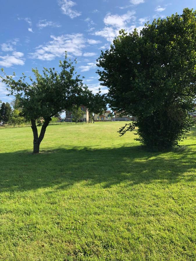 The Walnut Tree Gite Villa Le Dorat Eksteriør bilde